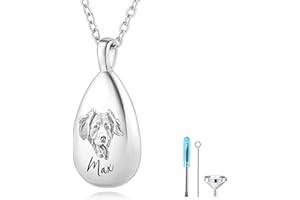 MMXX Personalized Pet Portrait Teardrop Urn Necklace for Ashes with Name/Photo Stainless Steel Pendant Necklace Cremation Jew