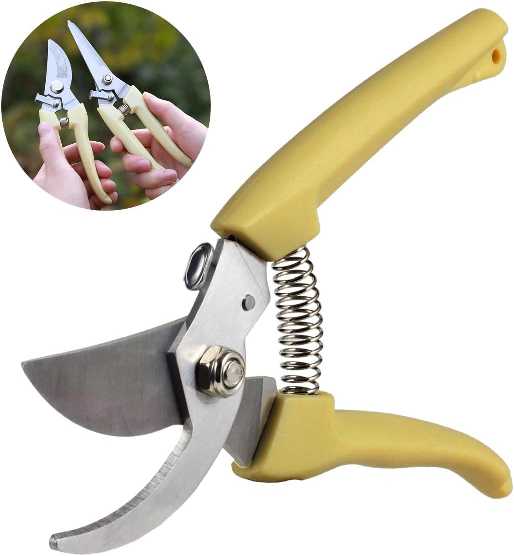 Bypass Pruning Shears for Gardening tools set 2 Garden