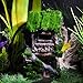 Saim Resin Ancient House with Moss Aquarium Decorations Fish Tank Landscape Ornament