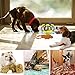 Airsspu Dog Toy - Treat Ball Interactive Food Dispenser Ball Toy for Small Medium Large Dogs - Boredom Puzzle Toys Mental Stimulation Pets Treat-dispensing Ball