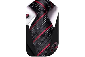 Dubulle Mens Paisley Striped Tie and Handkerchief Cufflinks Tie Set for Men Wedding Business Formal