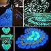 Glow in The Dark Pebbles 200 Pcs Glow Stones Safe Material Glow in The Dark Rocks for Outdoor Path Lawn Yard Walkways and Indoor Aquarium Fish Tank Decorations