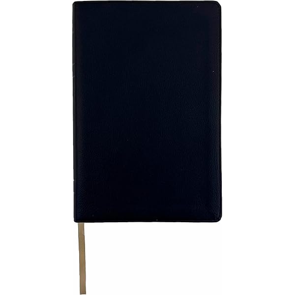 ルビブル様 LSB Holy Bible, Handy Size, Blue Imitation Leather: Legacy
