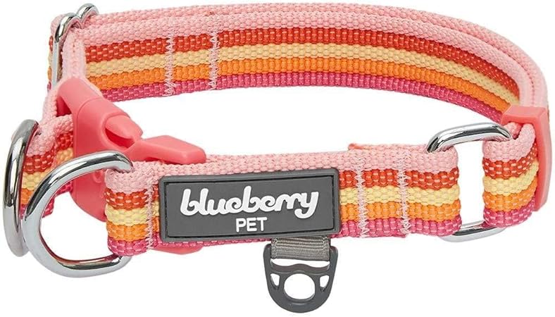 amazon blueberry collar