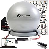 Soalpha Exercise Ball with 15LB Resistance Bands & Stability Base – Workout From Home with the Home Gym Bundle – Great For All Fitness Levels - 65CM Anti-Burst Yoga Ball - Watch Exercise Videos Online
