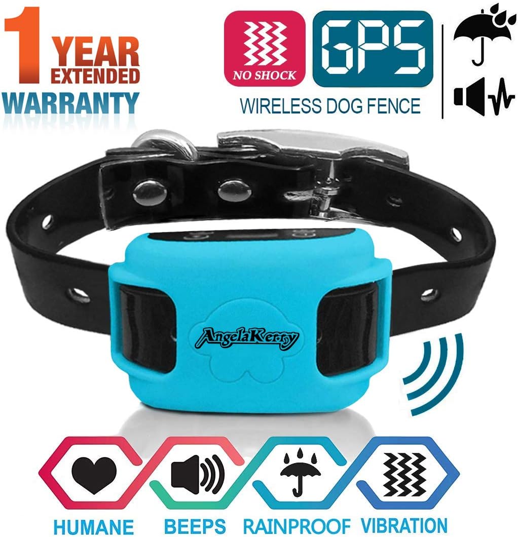 recinzioni per cani senza fili e senza fili