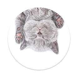 ​​​​PopSockets Phone Grip with Expanding
