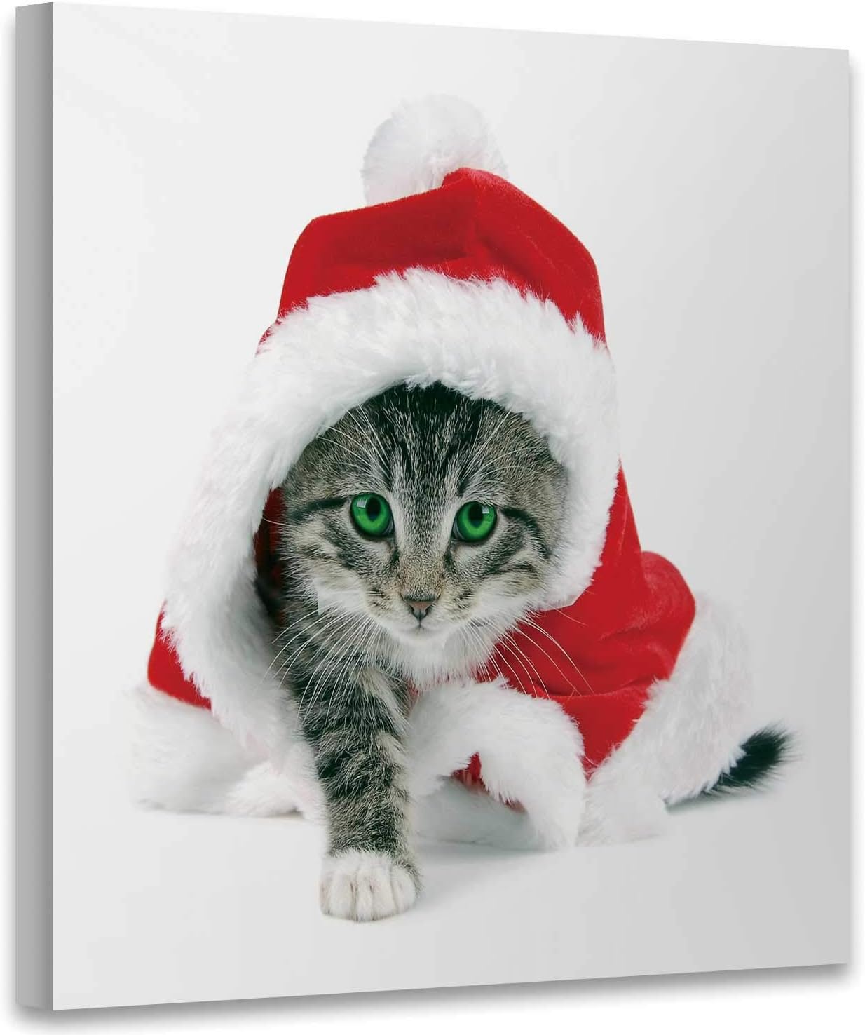 kitten christmas outfit