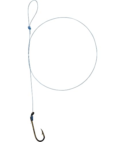 Eagle Claw Lazar Sharp Amo A Larga Curvatura Misura 6 – Morso Ecologico Per Pesca In Acqua Dolce (8 Pezzi)