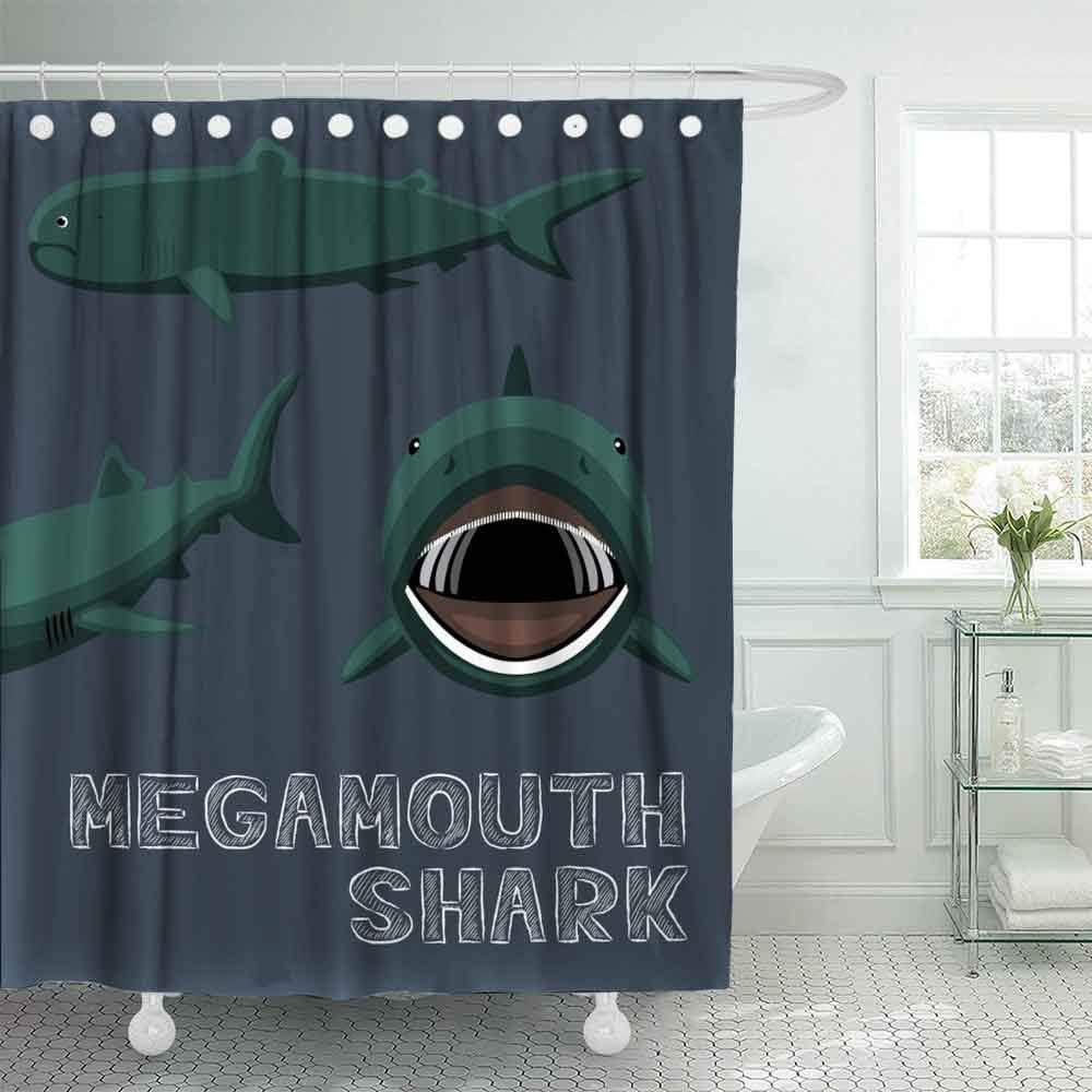 Dethel Shower Curtain, 78X72 Kids Shower Curtain Shower Curtains for Bathroom Shark Cartoon Shower Curtain for Kids Modern Shower Curtain