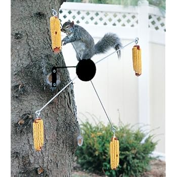 Amazon Com Cobs A Twirl Squirrel Feeder Black Horse Bridles