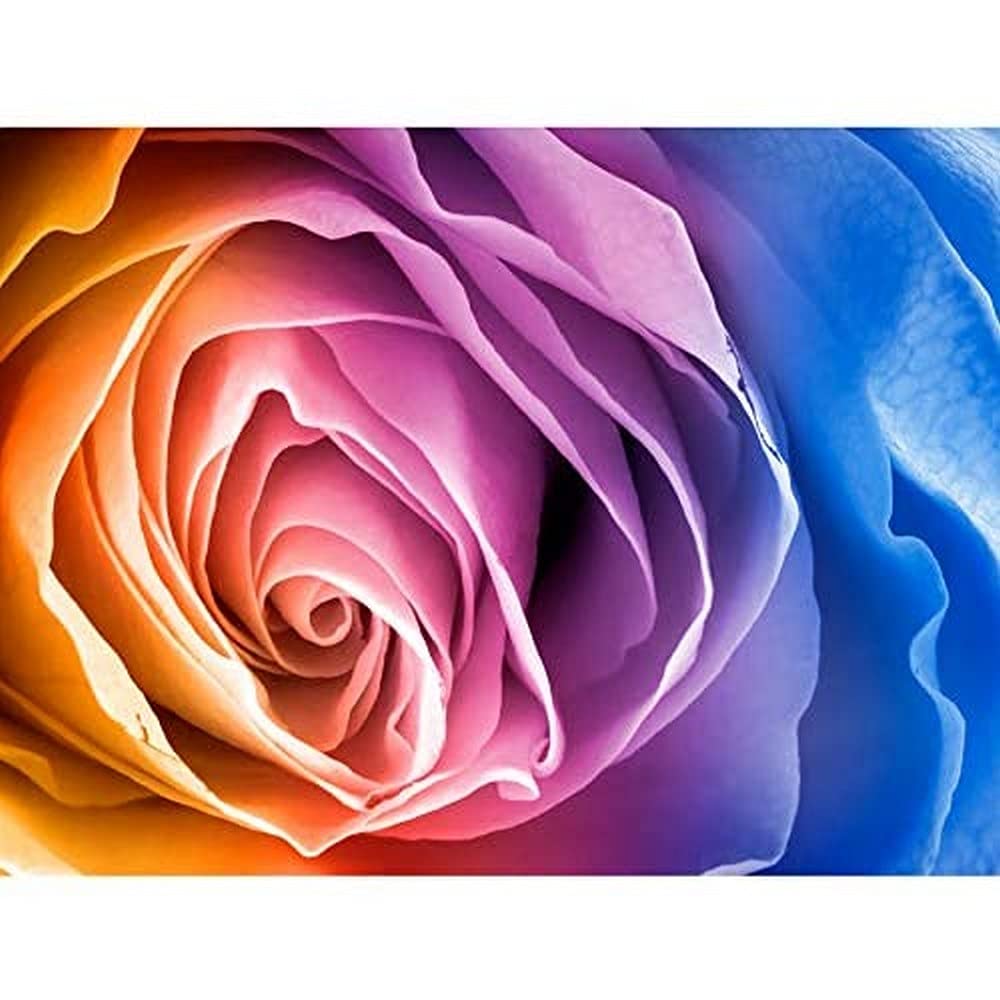 Rainbow Rose Photo Edit Art Print Canvas Premium Wall Decor Poster