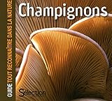 Champignons (French Edition) by 