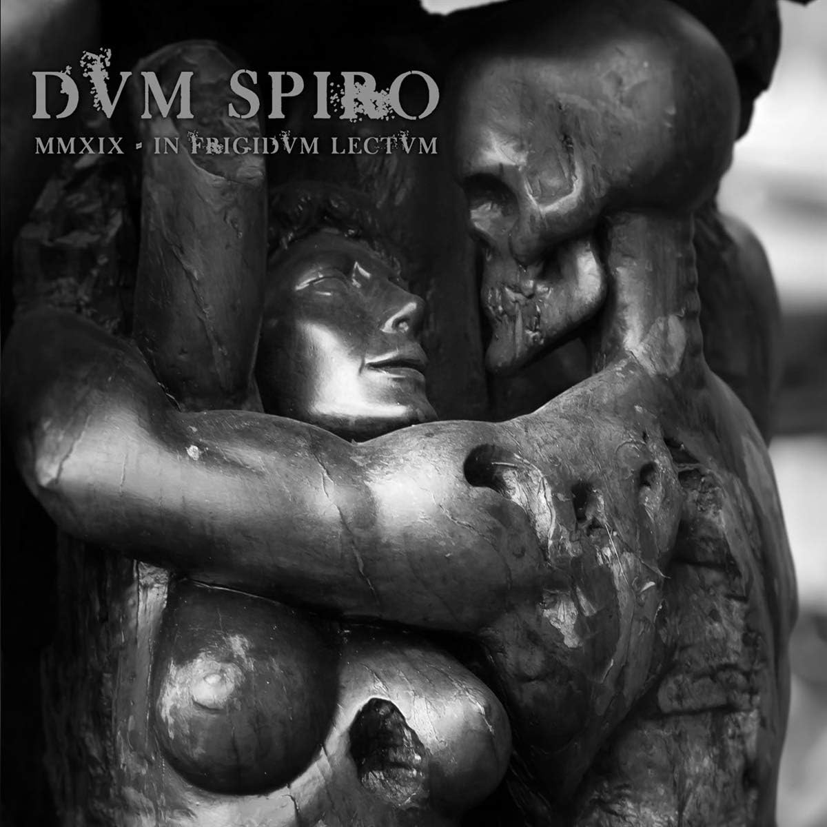 Mmxix - In Frigidvm Lectvm