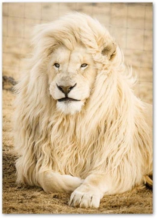 DNJKSA África león Elefante Jirafa Cebra Cactus nórdico Carteles e