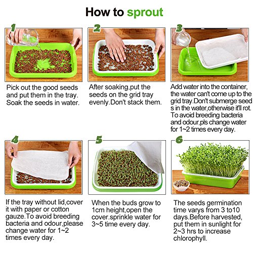 2 Sets Sprouter Tray BPA Free PP Soil-Free Densely Small Hole Healthy Wheatgrass Grower 13.4x9.84x1.77inch - Thumbnail 4