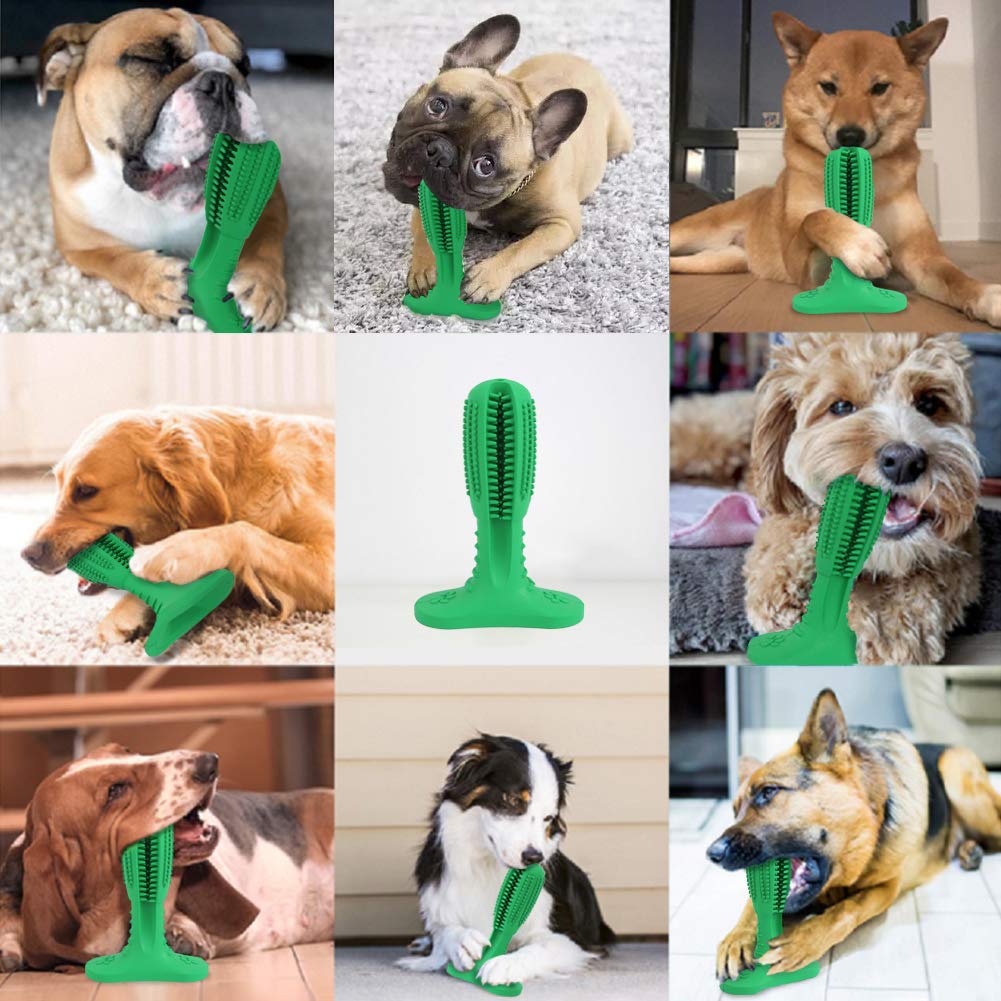 Ezio Dog Toothbrush Chew Toy - Nontoxic Natural Rubber Toothbrush Stick Teeth Cleaning Dental Care Brushing for Small and Medium Doggy (Green)