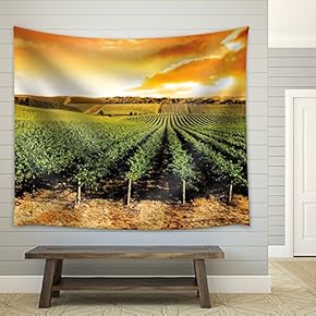 Sun Setting Over a Winery That is Filled with Vines - Fabric Tapestry, Home Decor - 51x60 inches
