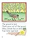 Draw Write Now Book 6: Animals and Habitats: On Land, Ponds and Rivers, Oceans