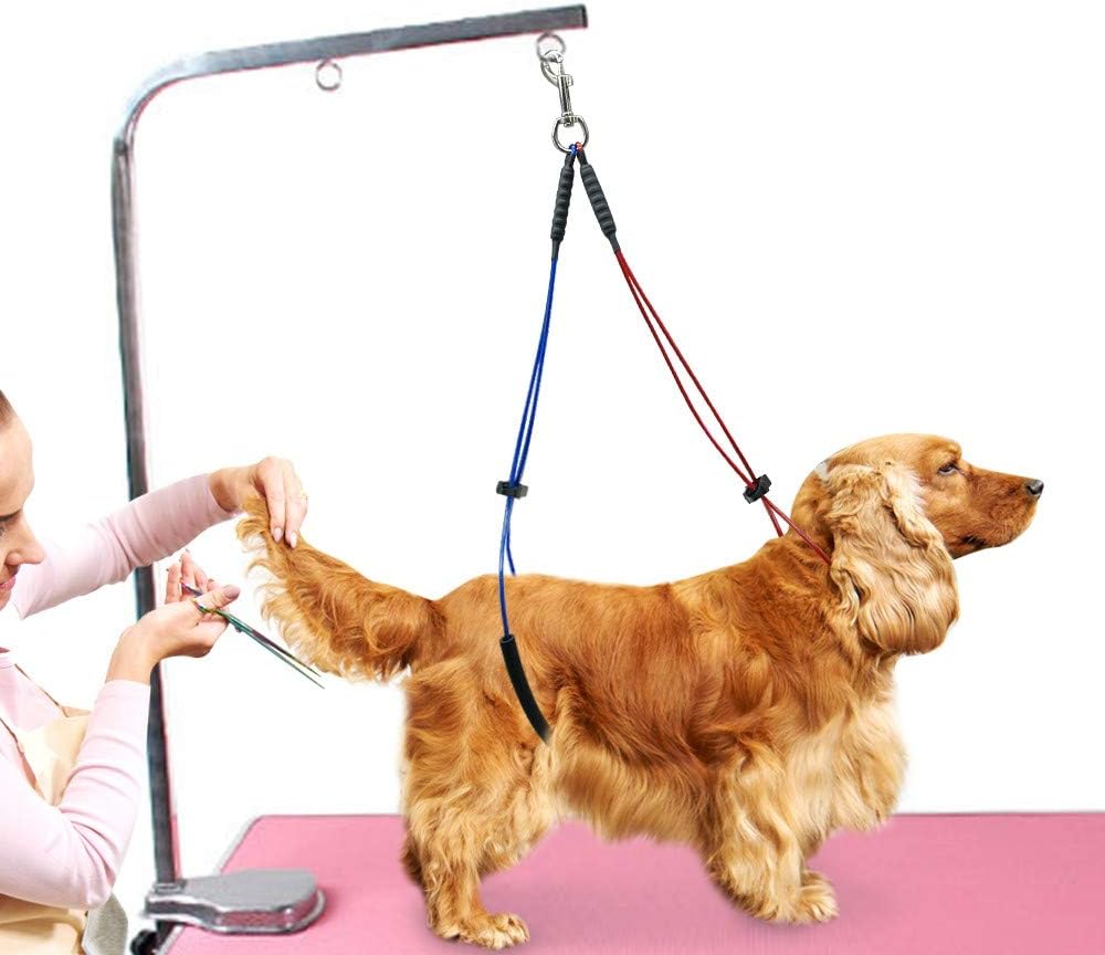 dog grooming table restraints