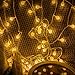 HOLLOSPORT 33ft 100 Bulbs Plug in LED Warm Light String for Party & Christmas, 8 Modes