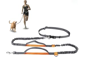 Hands Free Dog Leash, Retractable Dog Leash Running with Dual Bungees for Medium and Large Dogs, Adjustable Waist Belt Reflec