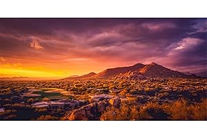 AWERT 30x12 inches Sun and Desert Terrarium Background Mountain Oasis Gobi Reptile Habitat Background Vinyl