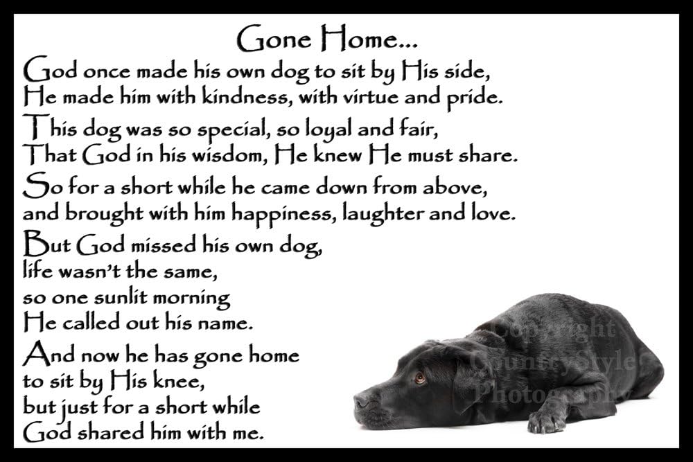 Black Labrador Pet Dog Bereavement Memorial Flexible Fridge Magnet - Gone Home (male)