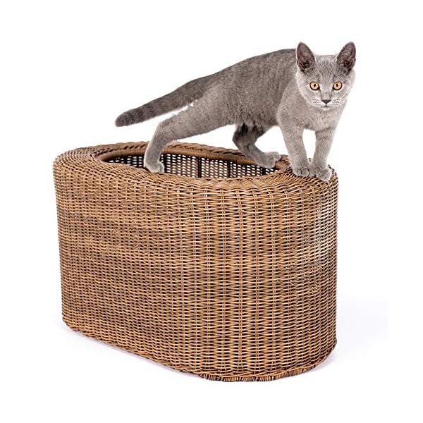 Beds & Furniture Washable D+GARDEN Wicker Cat Bed for Indoor Cats a