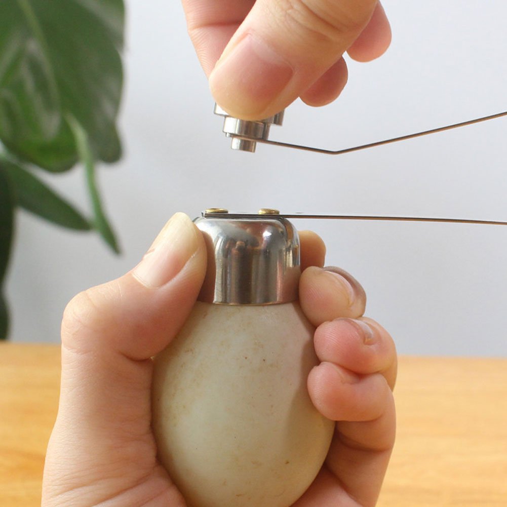Egg Topper,Egg Opener,Shell Opener Egg Opener,Stainless Steel Egg Topper Kitchen Cutter Tool,Egg Opener Tool Egg Cracker Remover Egg Shell Separator,Egg Cracker Remover,for Raw Soft Hard Egg (Large)