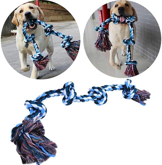 cuerdas para morder perros