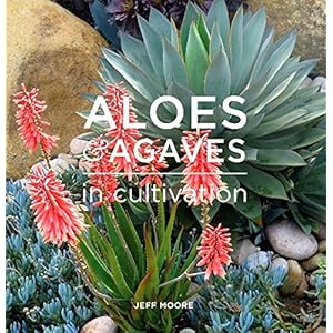 Aloes and Agaves in Cultivation