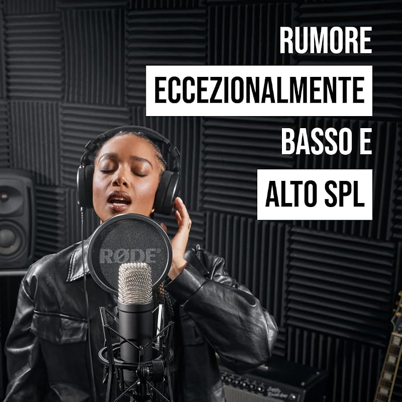 NT1 Signature Series, microfono a condensatore a diaframma largo con supporto antiurto, filtro anti-pop e cavo XLR per produzione musicale, registrazione vocale, streaming e podcasting (Nero)