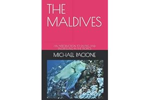 THE MALDIVES: AN INTRODUCTION TO DIVING AND SNORKELLING IN THE TROPICS