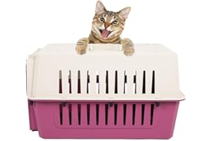 Livebest Portable Plastic Hard-Sided Pet Carrier Crate Outdoor Kennel Car Travel Box for Small Animals