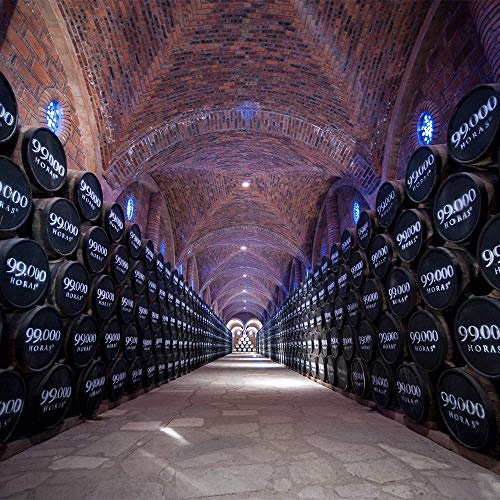 Corralejo Tequila 99,000 HORAS AÑEJO 100% de Agave 38% Vol. 0,7l – Bild 5