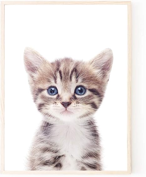 Amazon Co Jp ポスター アートポスター 猫 子猫 キャット ペット 子供部屋 子供用 北欧 おしゃれ インテリア フレームなし ポスター 210 297mm ホーム キッチン