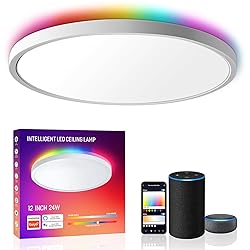 MELEGAN Smart Led Ceiling Light Flush Mount, 12