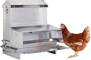 RentACoop Automatic Metal Treadle Feeder - Outdoor Use, Rainproof - Suitable for Chickens, Bantams, Poultry, Pheasants, etc. - 40lb Capacity