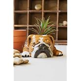 Ceramic Bulldog Planter