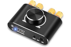 Daakro 50W+50W Mini Bluetooth 5.0 Power Amplifier,Wireless Stereo Hi-Fi Digital Audio Receiver with 12V 5A Power Supply,2 Channel with AUX USB BT Input