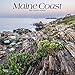 Maine Coast 2019 12 x 12 Inch Monthly Square Wall Calendar, USA United States of America Northeast State Ocean Sea Nature (Multilingual Edition) by