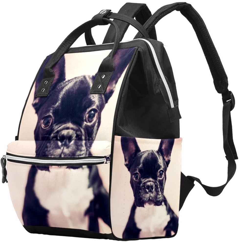 nappies for french bulldogs