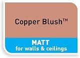 Dulux Matt Emulsion Paint For Walls And Ceilings Copper Blush 2.5 L view 6