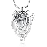 QGJNSGC Urn Necklace for Ashes Anatomical Heart Cremation Jewelry for Ashes Holder Stainless Steel Ashes Pendant for Women Men Keepsake Memorial for Jewelry Gifts