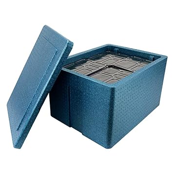 FKB@ED Nevera portátil para coche, 65 L, refrigerador personal ...