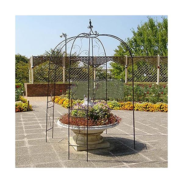 LYBC Metall Rosenbogen B80xH 205cm Rankgitter Torbogen Gartenbogen Rankhilfe Spalier, Für Kletterpflanzen,Hochzeitsbogen… – Bild 3