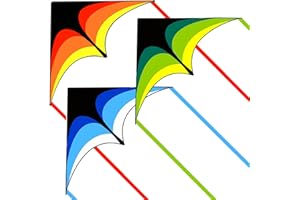 FLYING HOOFER Delta Kite for Kids and Adults, Easy to Fly, Nylon Fabric with String Handle, Outdoor Beach Park Activities