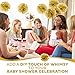 10pc Gold Tissue Paper pom poms Flower Ball Decorations kit – Size 8 10 Inch