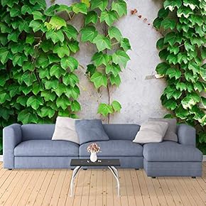 Wall Mural The Lush Plants on Antique Brick Wall Removable Self-Adhesive Large Wallpaper - 66x96 inches